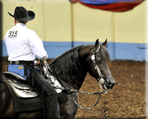 SP Remington