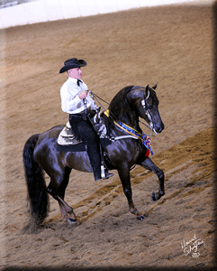 SP Remington