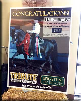 SP Remington Poster
